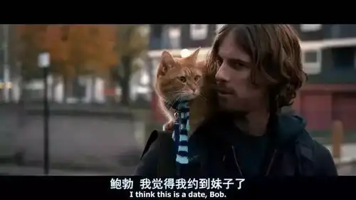 流浪猫鲍勃治愈系的英伦电影11月2日开启暖心之旅