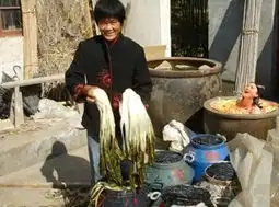 盘点於正炮制的雷剧宫锁连城袁姗姗浴照活生生水煮牛蛙
