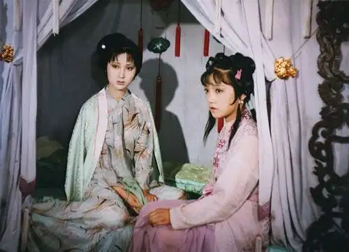 红楼梦人算不如天算,紫娟最担心的事终于发生了