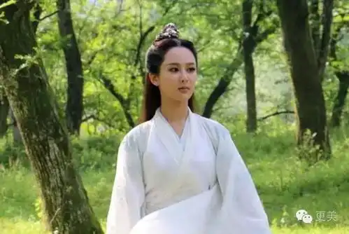 杨紫居然否认整容那是怎么从村脸变成网红的