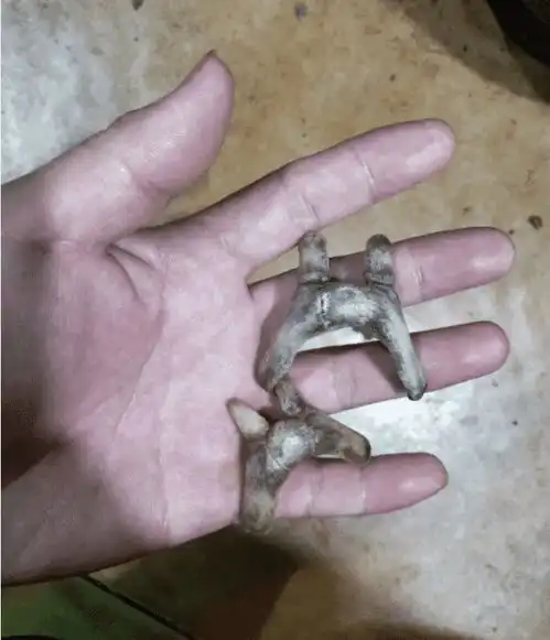 老房子的栋梁上掉下来的,能不能换一套房啊哈哈哈哈哈
