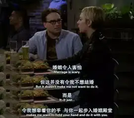 视界生活大爆炸将迎来完结,含泪说再见科学怪咖谢耳朵们
