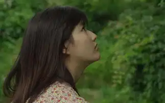小森林冬春篇当万物复苏,我找到心之所向
