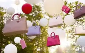dior2012圣诞系列梦幻奢华大片时尚大鉴赏
