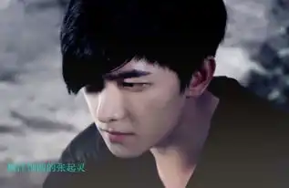 在这几个版本张起灵中,爱情公寓版的排在第三,第一无人超越