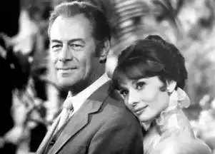 这部美剧被砍太可惜了,真正的美剧铁粉才听过