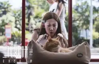 本周影荐丨鲜肉腊肉齐贺年爆笑走肾又走心