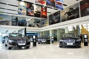 虎豹如何走出至暗时刻
