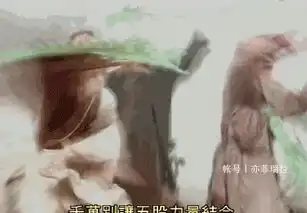 古天乐版神雕侠侣很精彩的三段武打戏这些特效镜头很不错