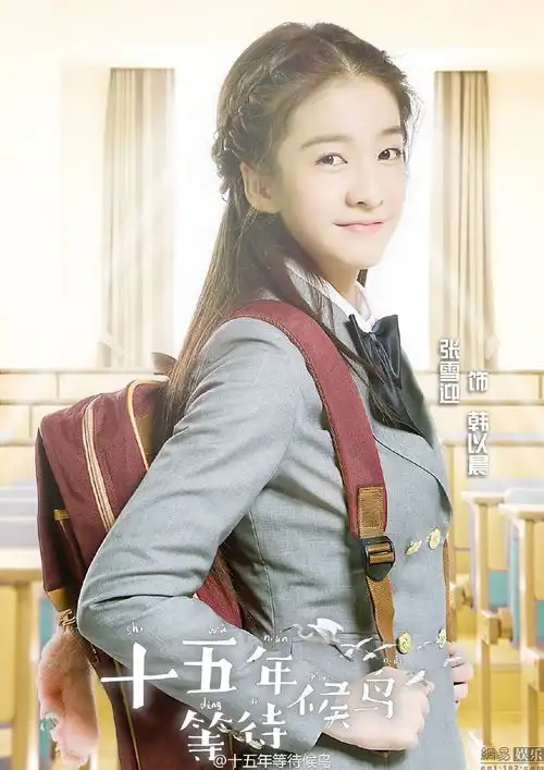 十五年等待候鸟曝人物海报
