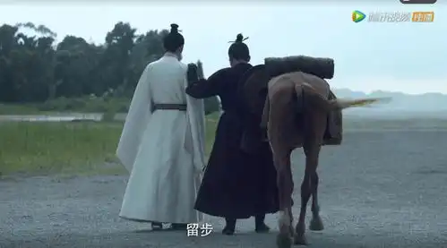 雪中悍刀行最佳男配杨皓宇,出场仅6集,剑九黄角色已成经典
