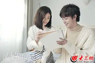 湖南卫视流星花园精彩升级沈月王鹤棣感情遇危机
