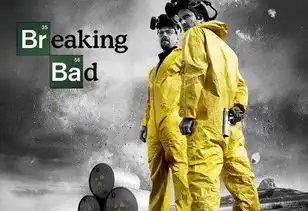 英男警官玩sm被勒死尸体遭肢解投入强酸中
