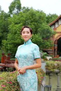杜若溪勇敢的心曝旗袍剧照
