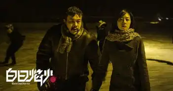 白日焰火首日票房千万观众口碑破金熊魔咒