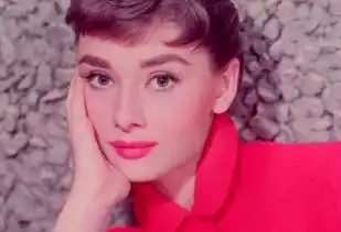 窈窕淑女奥黛丽赫本西班牙的雨大多落在平原上