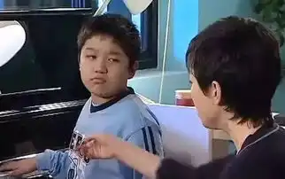 家有儿女里刘星家到底多有钱看完震惊了深扒