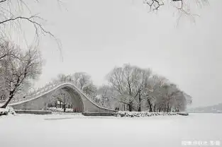 看不见的颐和园,一文览四季,八年精选美景,持续更新...
