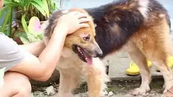 你的眼泪让我心碎