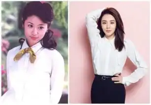 情深深雨蒙蒙又来了,竟然有棵常青树
