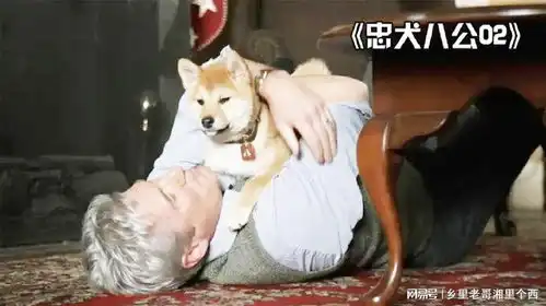 忠犬八公小八遇到帕克是否真的快乐,一段剧情自己感受