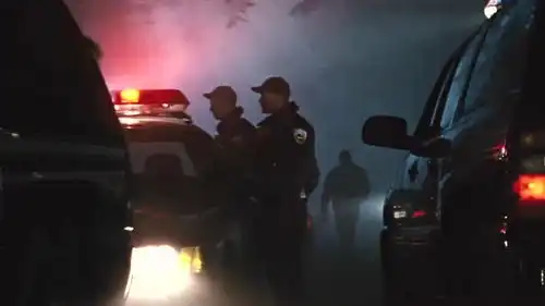 异形大战铁血战士2这样的异性怪物大战,又刺激又害怕,熬夜也想看完