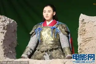 张柏芝穿厚重盔甲站城楼带伤赶拍杨门女将