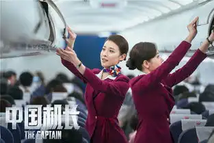 中国机长张涵予欧豪杜江狂补飞行课
