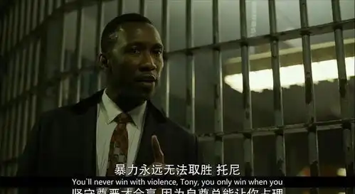 奥斯卡被中国市场理性对待,除了绿皮和罗马都没有引进
