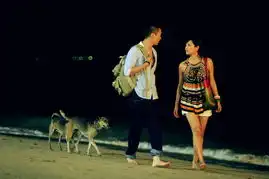 杜拉拉升职记官方剧照
