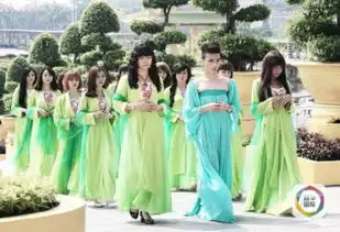 越南高仿三生三世十里桃花这次毫不辣眼