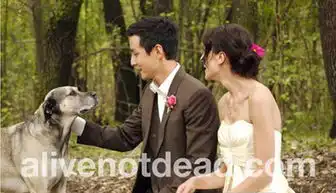 吴彦祖森林婚礼浪漫唯美喜落幸福男儿泪