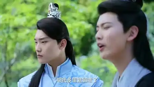 双世宠妃2城城送流觞花,小檀觉得辣眼睛送给城城一支现摘的花