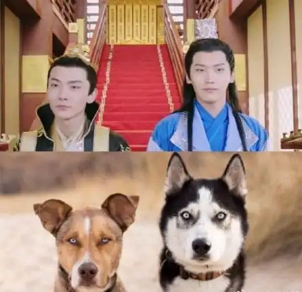 邢昭林双世宠妃刷完高甜剧照,再来一波表情包