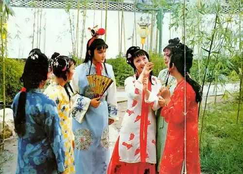 视频詹丹红楼梦里的四种爱情
