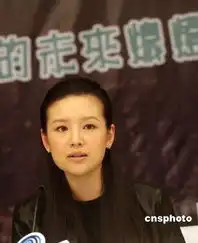 中网网动中国活动启动美女影星董洁代言
