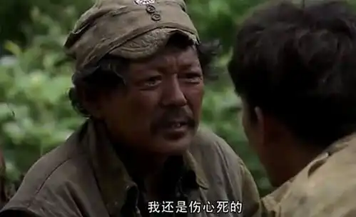 我的团长我的团郝兽医临死前,为何对孟烦了说,我是伤心死的
