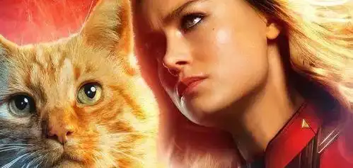 别叫我橘猫,叫我噬元兽大人惊奇队长里的猫真他喵的闪耀
