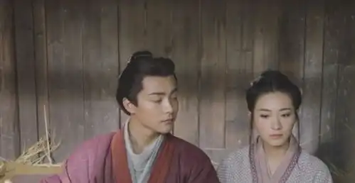 三国机密中刘平成功逃离追兵,司马懿和唐瑛感情升温