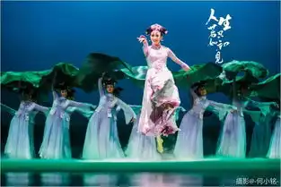 粉丝福利丨文艺青年必看大型舞剧人生若只如初见
