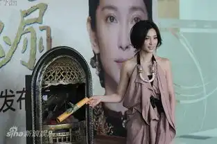 雪花秘扇官网启动李冰冰焚女书
