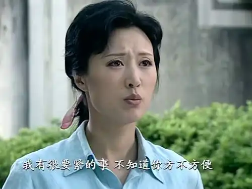 悠悠寸草心金凤跑去问镇长借钱,镇长一听两千块,惊呆了