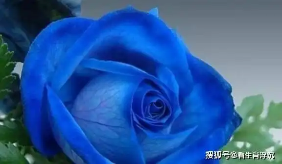 未来15天运势解冻,好运袭来,贵人出力相助,享受日子的四大生肖
