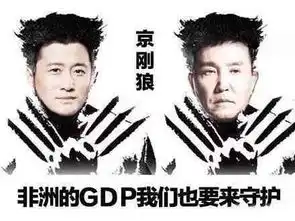 战狼2之所以火的原因是京刚狼组合,不服真不行