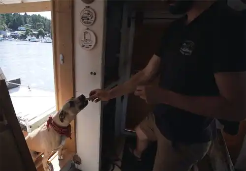 他低价买下1976年废弃船屋,将内部变成14㎡水上蜗居,网友真服
