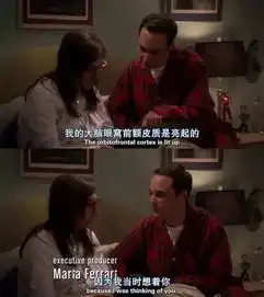 再见,生活大爆炸
