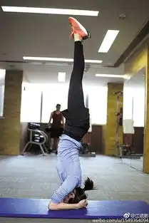 苦练瑜伽放大招明星也是蛮拼的娱乐圈高手如何指点迷津