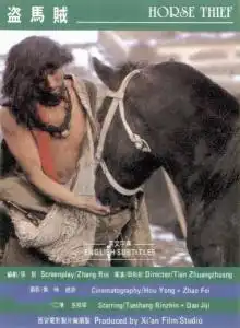 盗马贼
