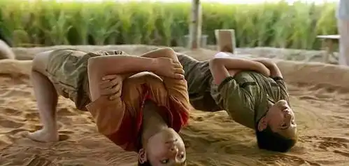 作为一个大国,为什么印度只拿了这么点奖牌