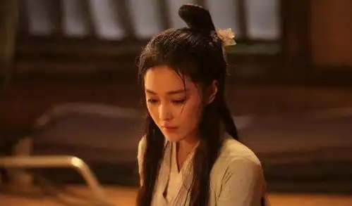 雍姬并未影响郑国的时局,为了保护父亲,选择放弃夫君